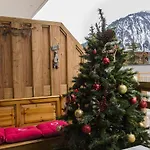 Appartement Au Pied, 3ch 2sdb Garage Terrasse Courchevel