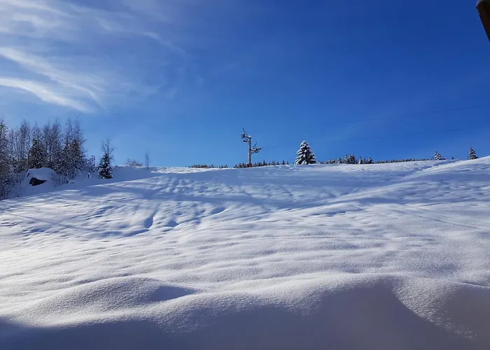 Au Pied, 3ch 2sdb Garage Terrasse Courchevel